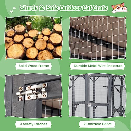 72 Inch Tall Wooden Cat Enclosure with Weatherproof Asphalt Roof R2535