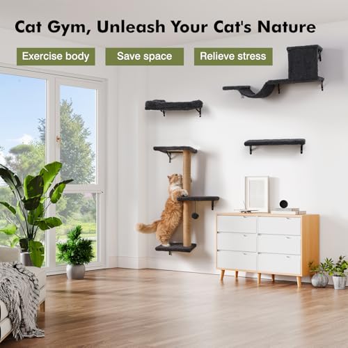 Gray Cat Wall Shelves H47780