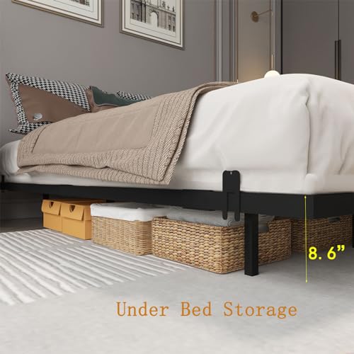 Queen Size Metal Platform Bed Frame with LED Lights A362
