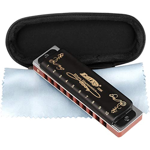 Harmonica Key of G 10 Hole 20 Tone Black with Case & Cleaning Cloth L52863