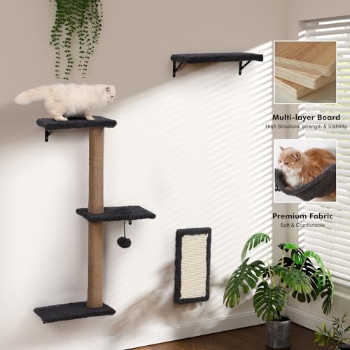 Gray Cat Wall Shelves H47780