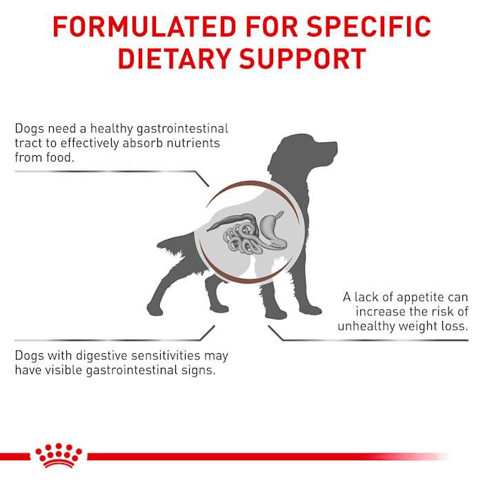 Veterinary Diet Canine Gastrointestinal Dry Dog Food E696659