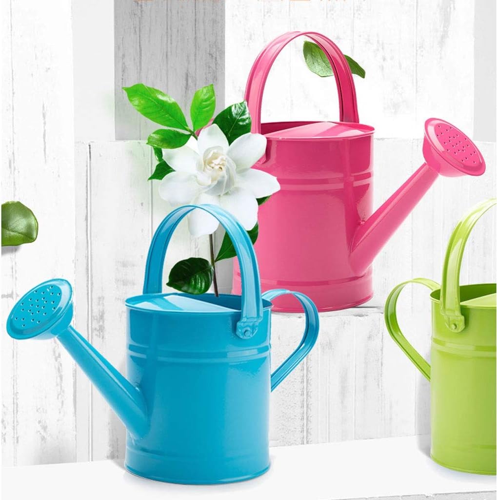 1.5L Iron Watering Can B71748