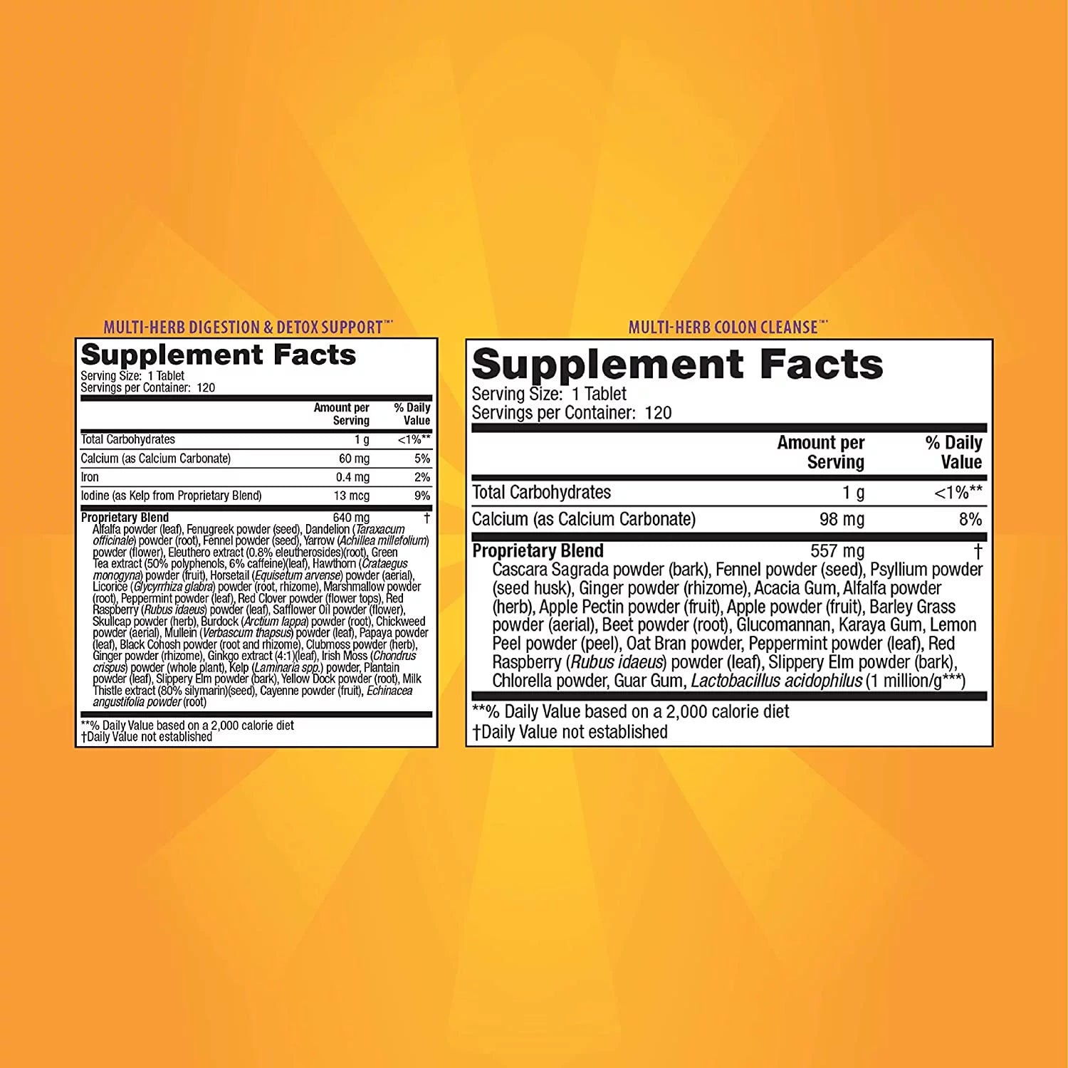 240 Tablets Total-Body Cleanse with Pill Case A88680