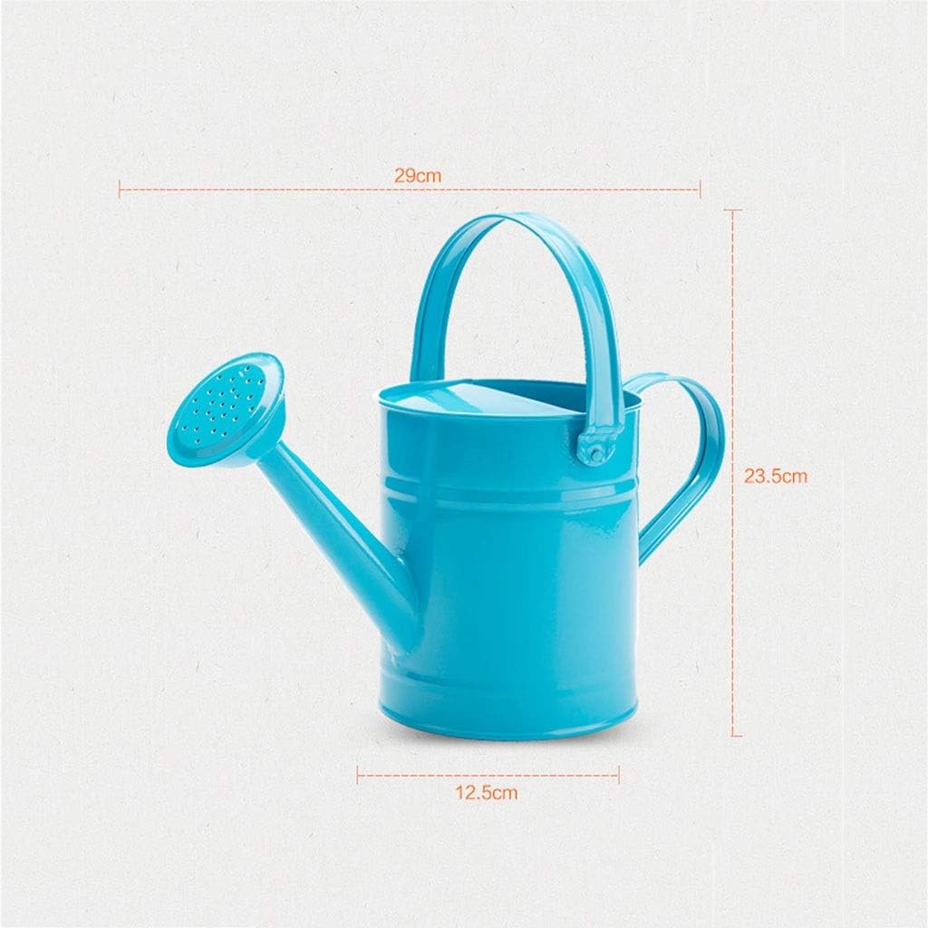 1.5L Iron Watering Can B71748