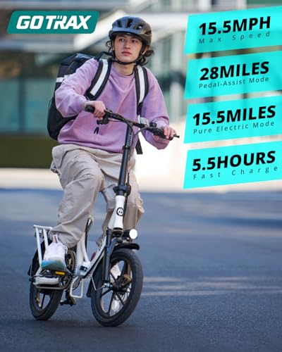 16" Folding Electric Bike with Removable Battery W6635