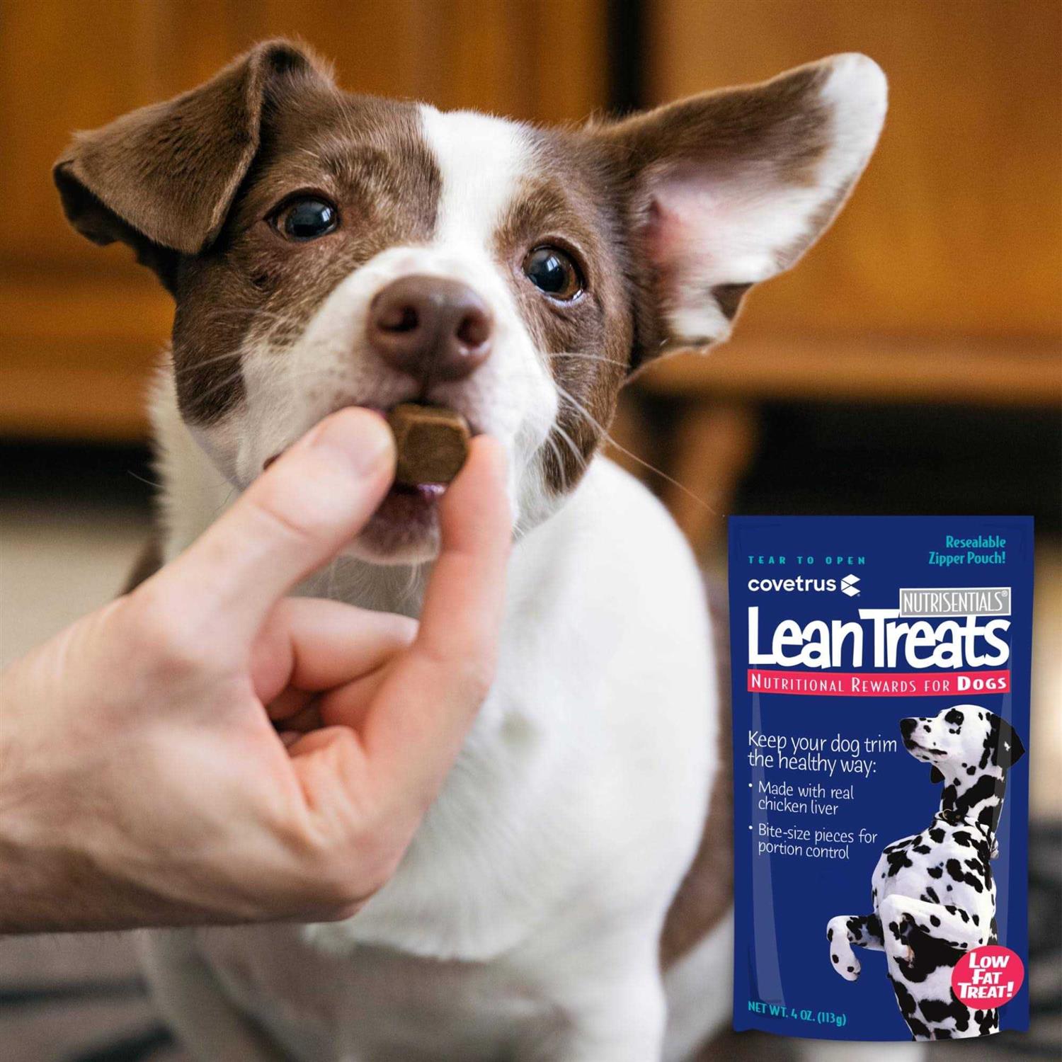 Lean Treats Dogs U808