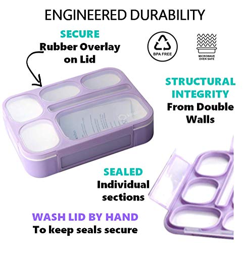 Blue & Pink Bento Lunch Boxes with Insulated Bag and Ice Pack Set of Two, 6 Compartments Leakproof BPA Free J813