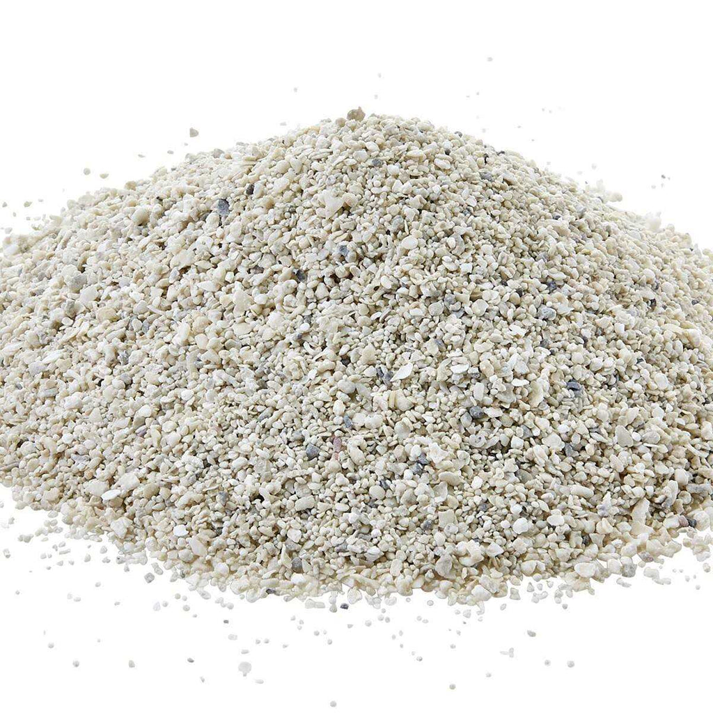 African Cichlid Mix V53001