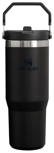 30 oz Insulated Stainless Steel Tumbler with Handle T464
