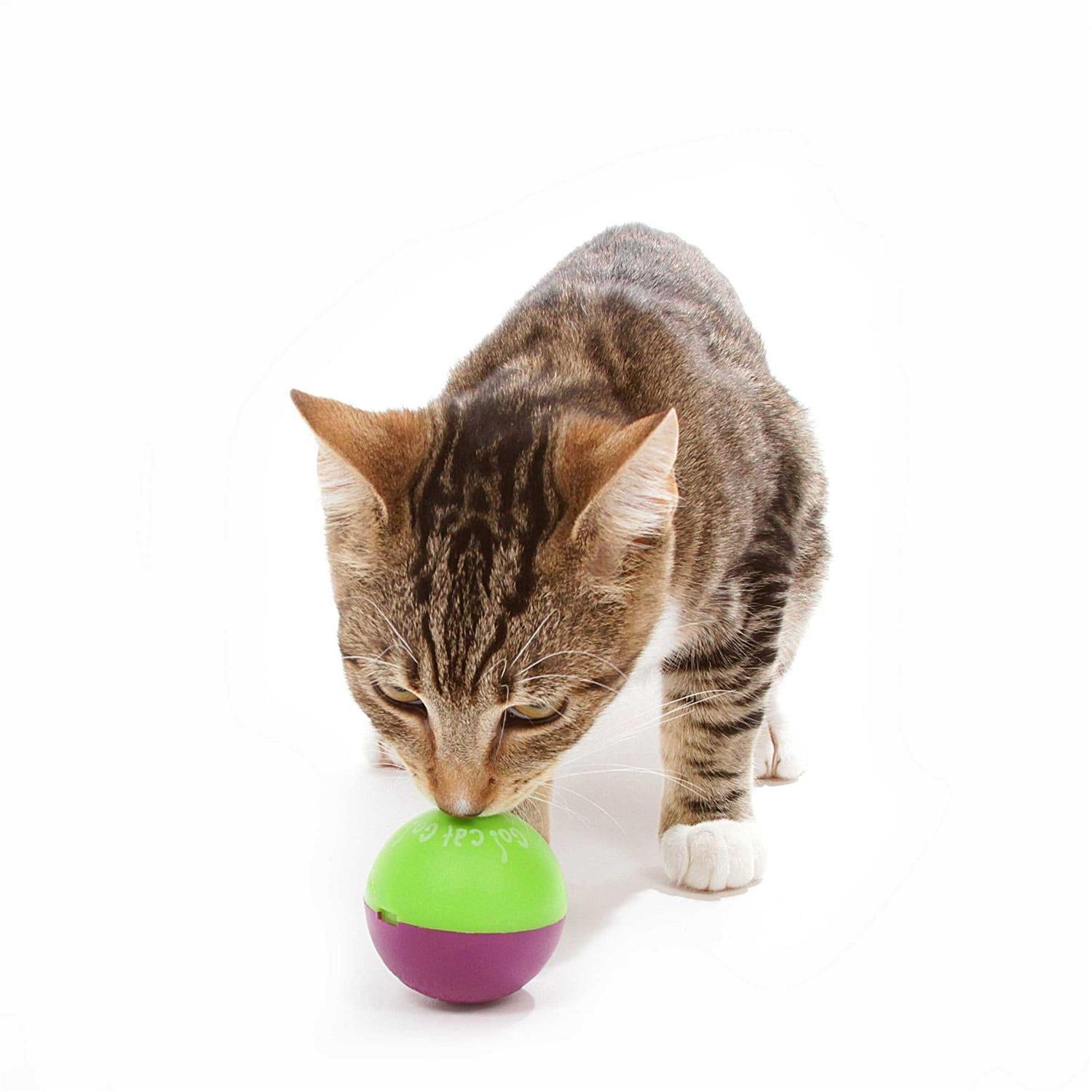 Cat Toy O7064