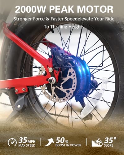 20" Fat Tire 48V 25Ah 7-Speed Electric Bike D229765