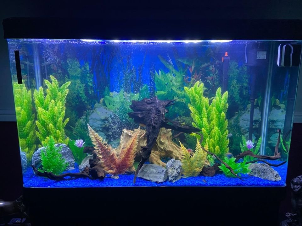 Large Aquarium 4ft 300L P2423