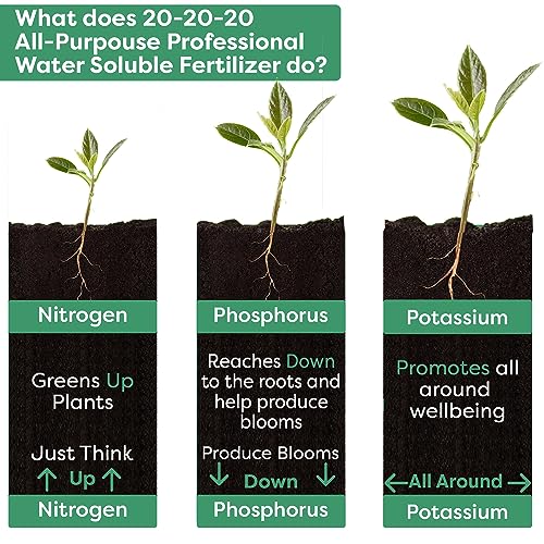 20-20-20 All Purpose Water Soluble Fertilizer (1/2 Quart) A12330