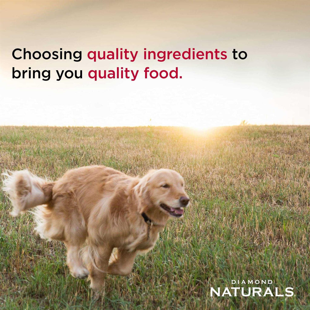 Light Lamb Meal & Rice Adult Dry Dog Food N499622