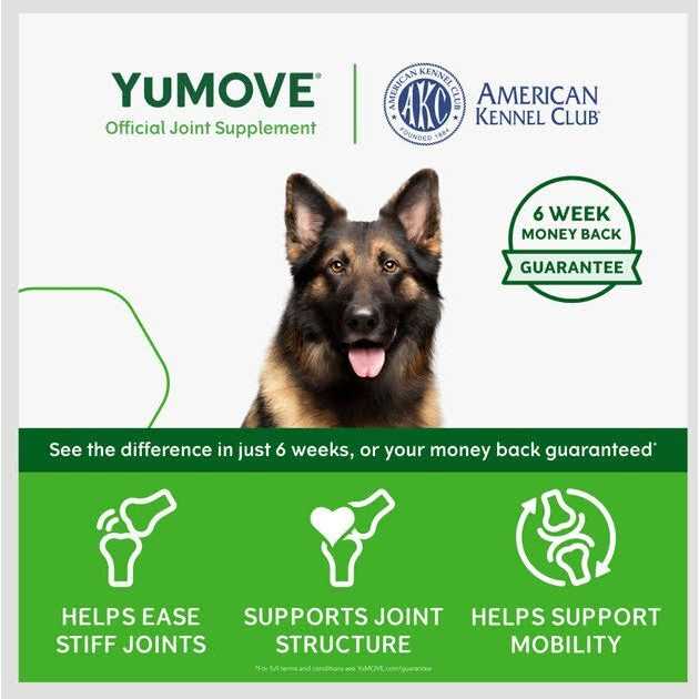 Daily Chews Hip and Joint Supplement for Large & X Large Dogs with Glucosamine C434