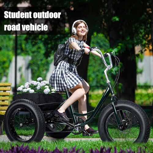 Black 20 inch 3 Wheel Fat Tire Tricycle J31112