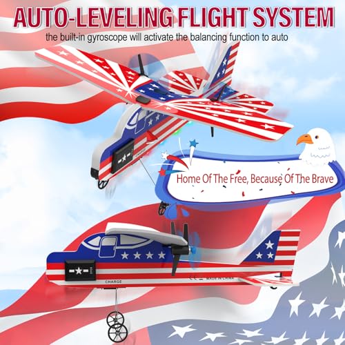 2.4GHZ Remote Control Airplane with Lights R517739