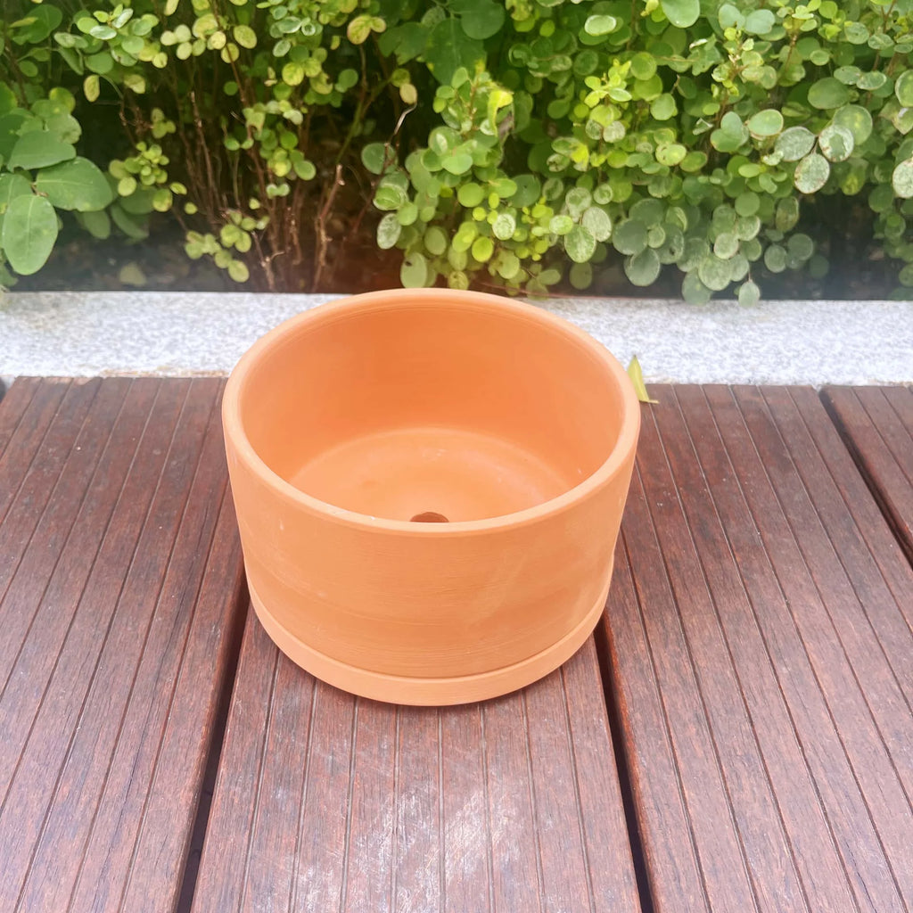 Terracotta Flower Pots, 3 Count with Drainage Holes E246