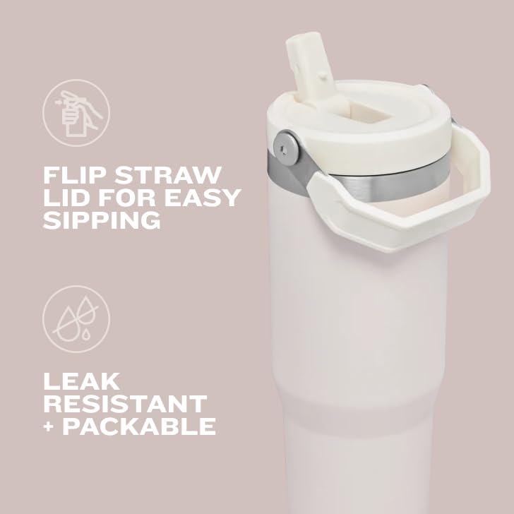 30 oz Insulated Stainless Steel Tumbler with Handle T464