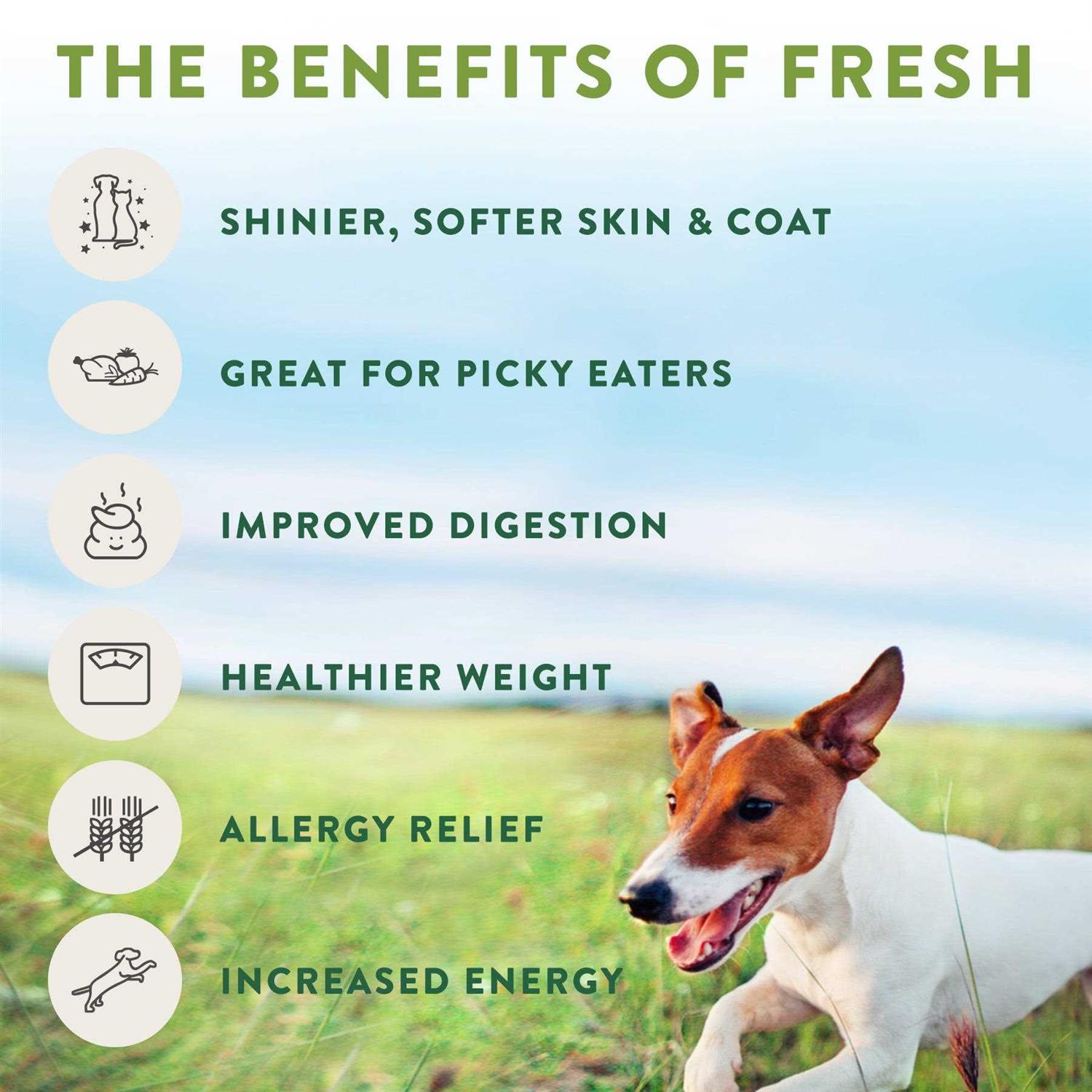 Tender Chicken Recipe Dog Food Y172