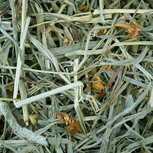 All Natural Western Timothy Hay - 15 oz. Y5844