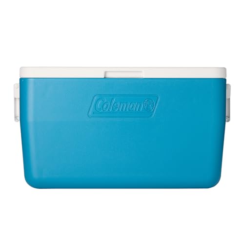 48qt Insulated Portable Cooler C459206