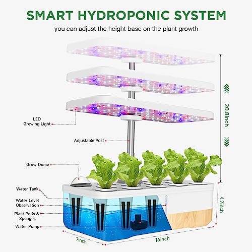 12Pods Indoor Hydroponic Growing System with LED Grow Light Q2589