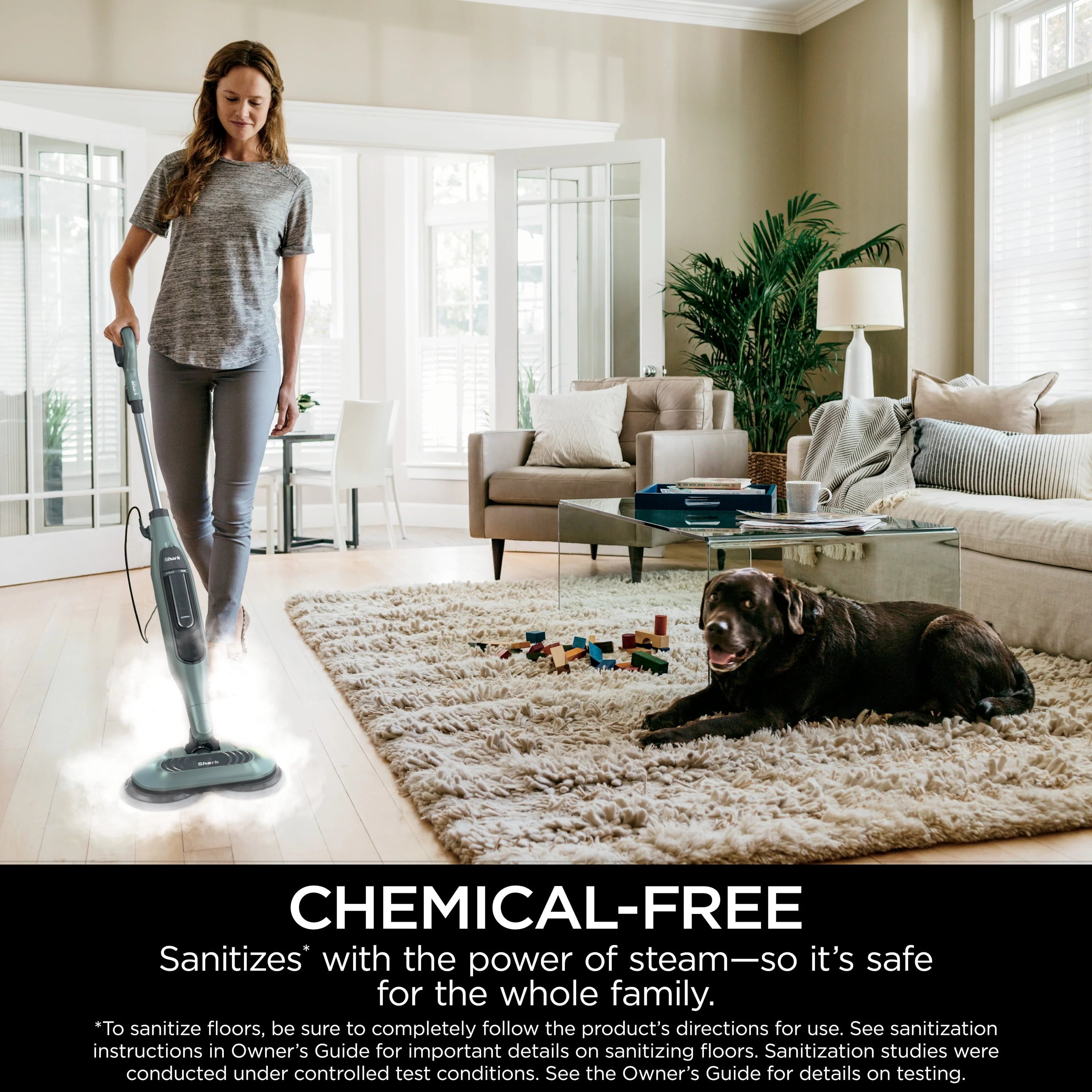 Hard Floor Steam Mop R8364