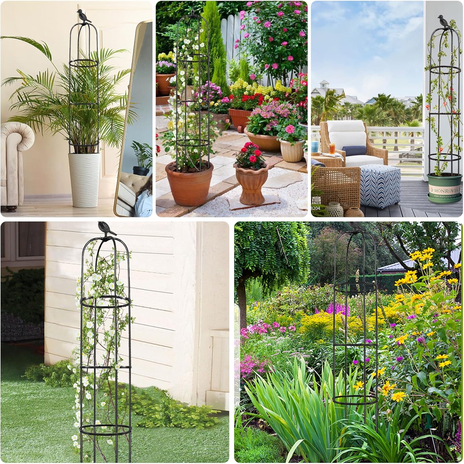 6ft Tall Plant Trellis for Climbing Plants Z677