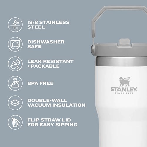 30 oz Insulated Stainless Steel Tumbler with Handle T464