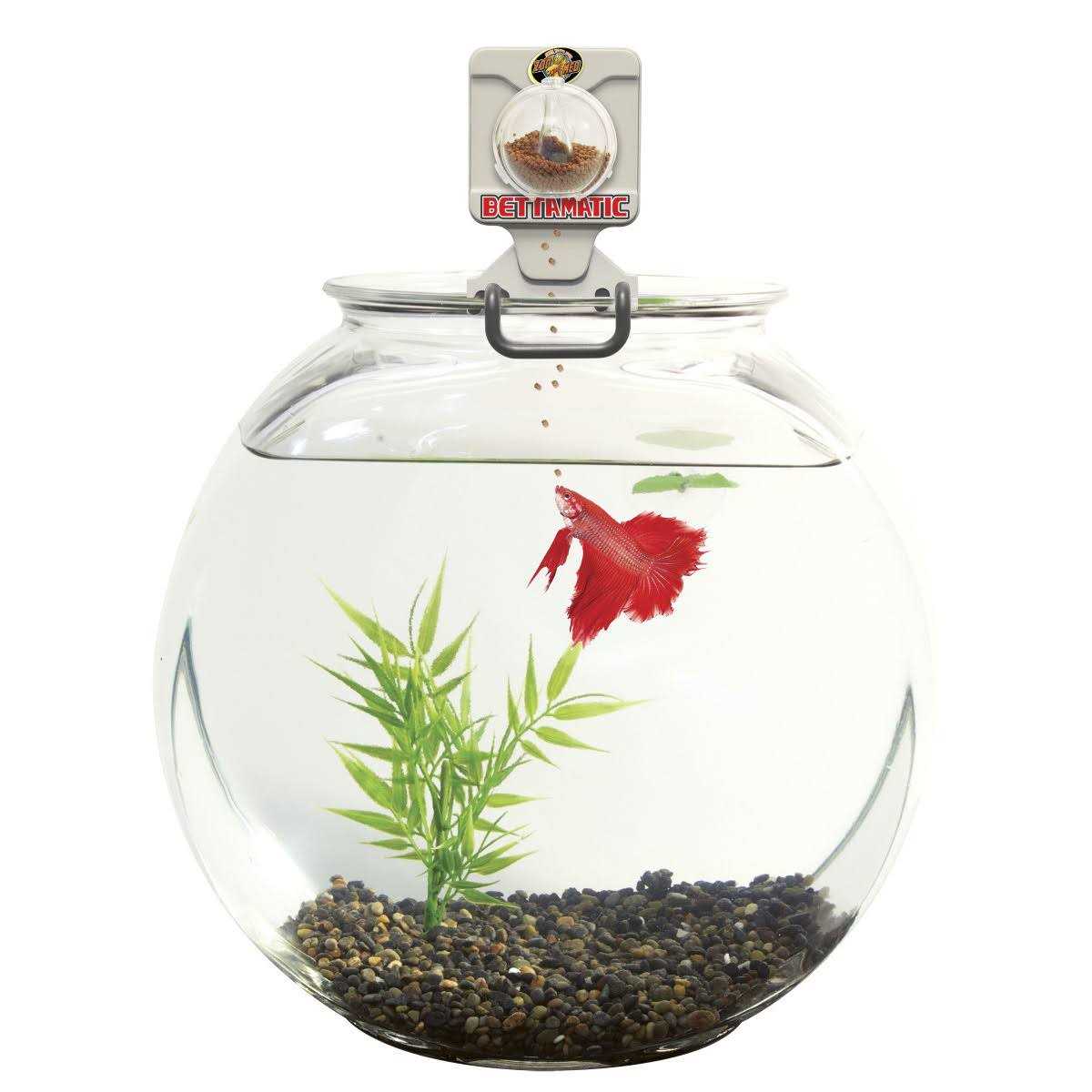 Automatic Daily Betta Feeder F127002