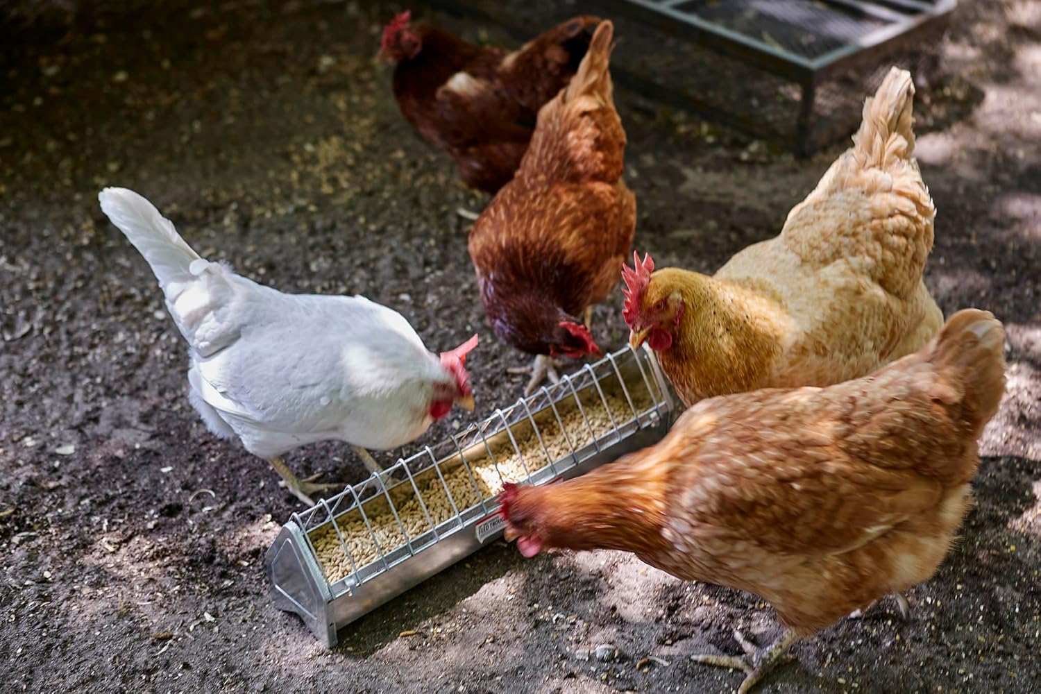 Galvanized Steel Poultry Trough Feeder 20" B548