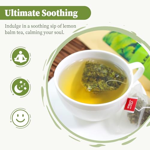 40 Teabags Unsmoked Yerba Mate Tea T10194