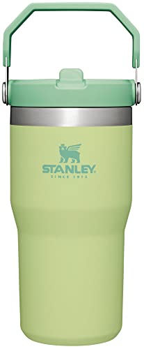 30 oz Insulated Stainless Steel Tumbler with Handle T464