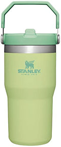 30 oz Insulated Stainless Steel Tumbler with Handle T464