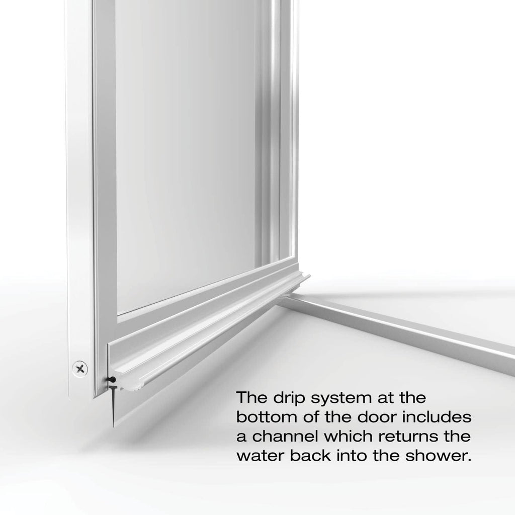 Pivot Framed Shower Door with Silver F301