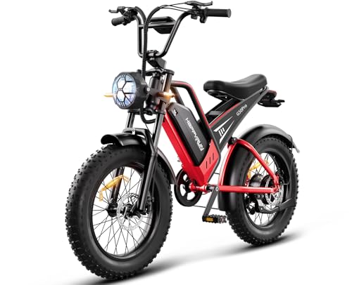 20" Fat Tire 48V 25Ah 7-Speed Electric Bike D229765