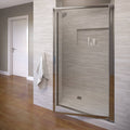 Pivot Framed Shower Door with Silver F301