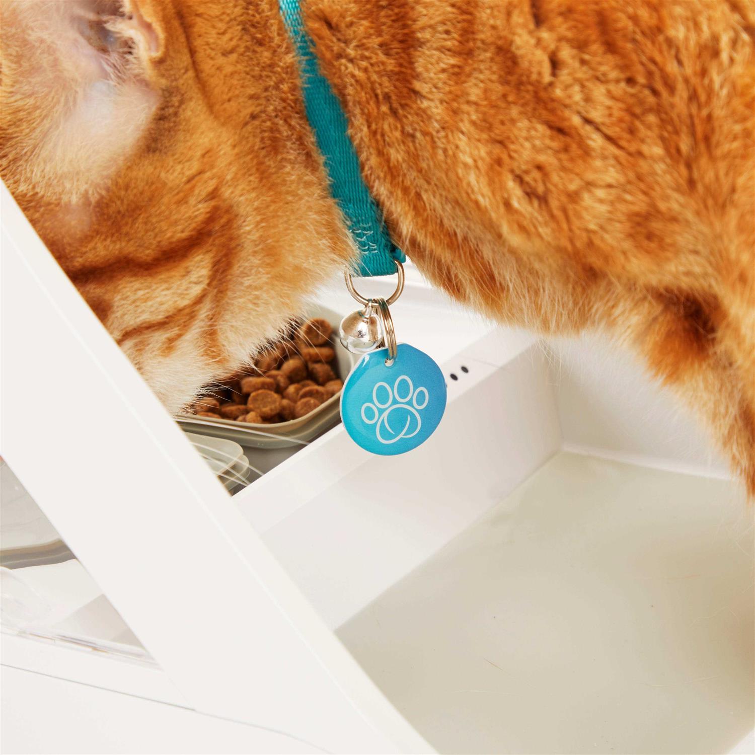 Microchip Pet Feeder Connect B468
