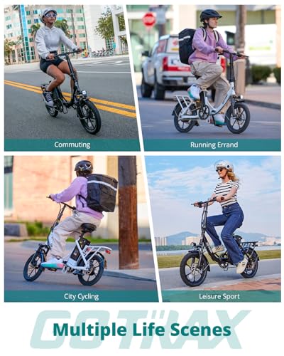 16" Folding Electric Bike with Removable Battery W6635