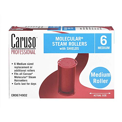 Professional Molecular Steam Rollers with Shields, Petite (6-Count) X928