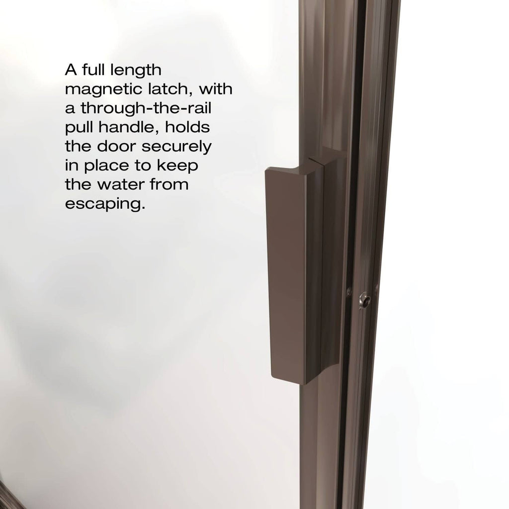 Pivot Framed Shower Door with Silver F301