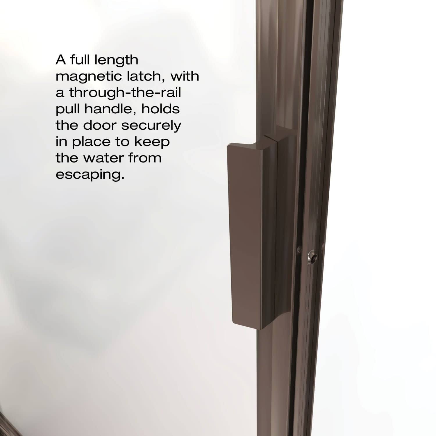 Pivot Framed Shower Door with Silver F301