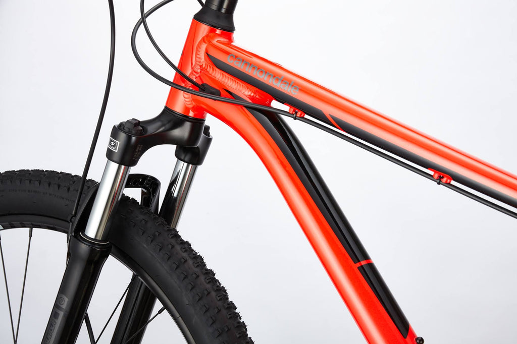 Midnight S Bike A24856