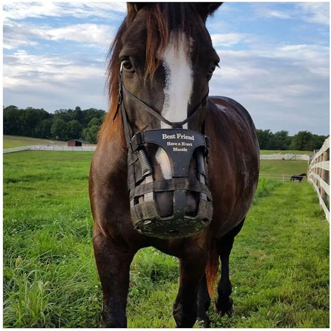 Heart Shaped Breakaway Horse Halter Grazing Muzzle, Large Horse Size M7118