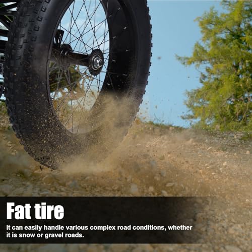 Black 20 inch 3 Wheel Fat Tire Tricycle J31112