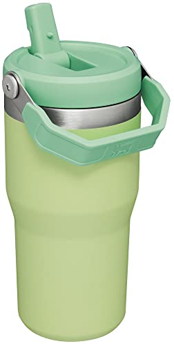 30 oz Insulated Stainless Steel Tumbler with Handle T464