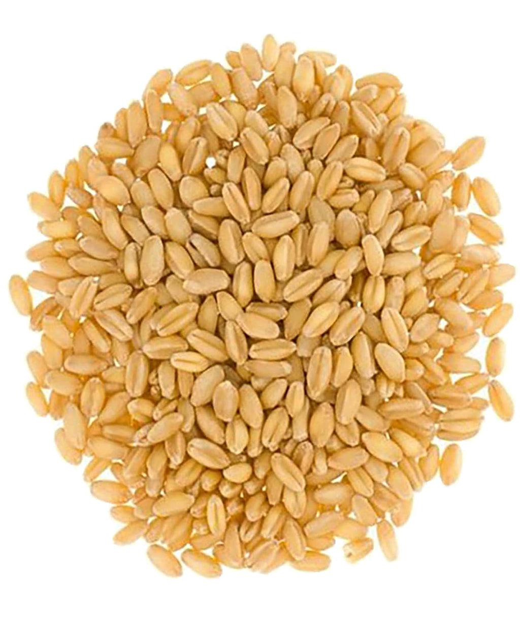 25 LBS Hard White Wheat Berries K552612