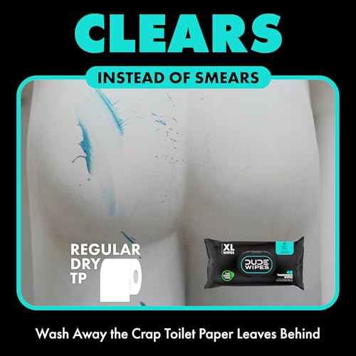 48 Wipes Mint Chill Extra-Large Adult Wet Wipes K683